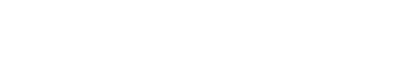light logo
